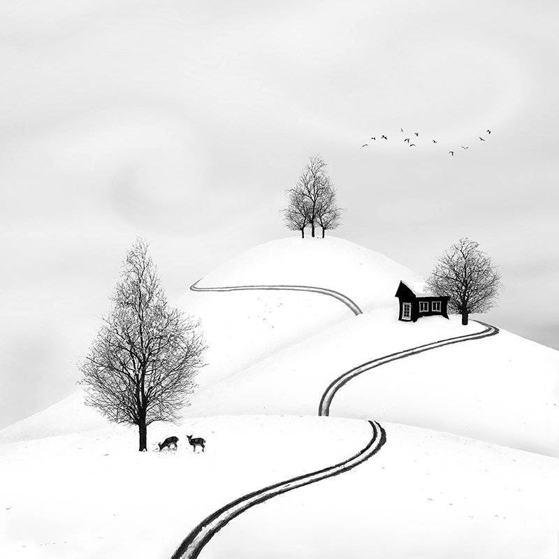 Sherry Akrami