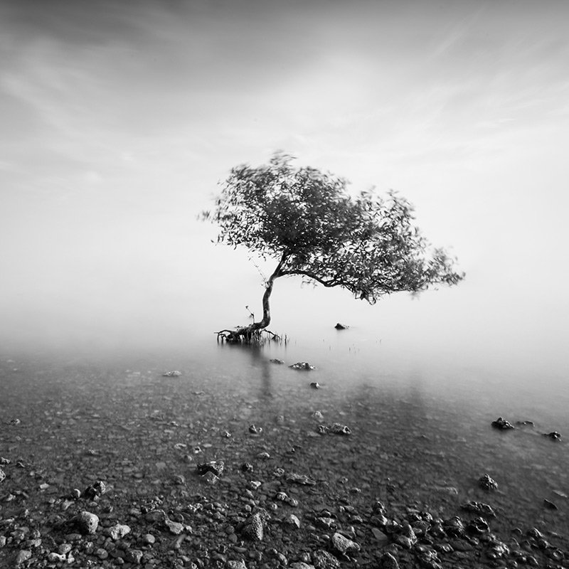 Dicky Sangadji - Bnw Minimalism Magazine