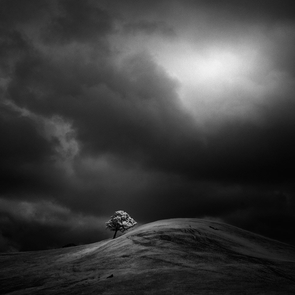 nathan wirth