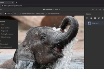 At Adobe Max 2021, it was announced that a light version of Photoshop is now available for your web browser