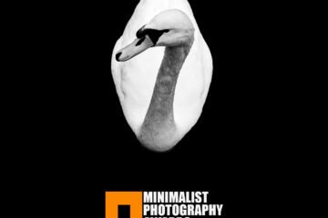 Minimalist Photography Awards 2025 Exhibition