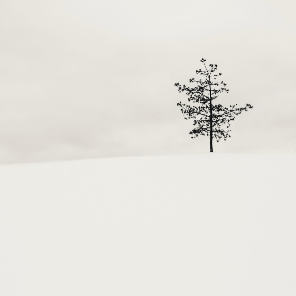 Photograph by Kalle Saarikko