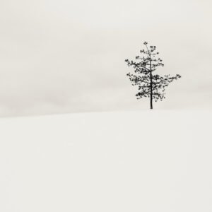 Photograph by Kalle Saarikko