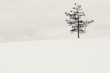 Photograph by Kalle Saarikko