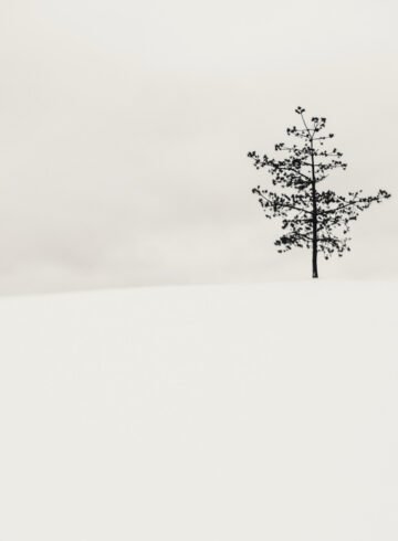 Photograph by Kalle Saarikko