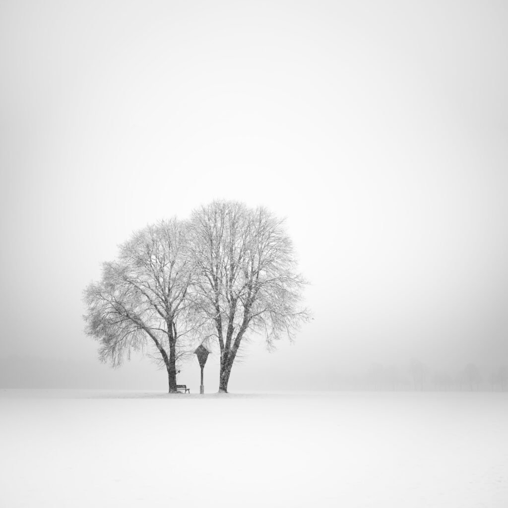 Photograph by Alexej Schulz