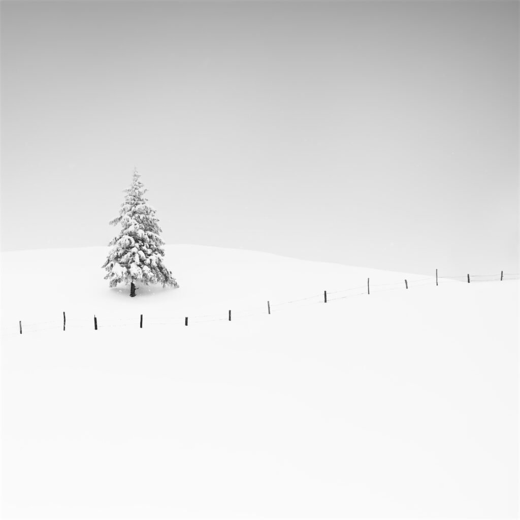 Photograph by Alexej Schulz