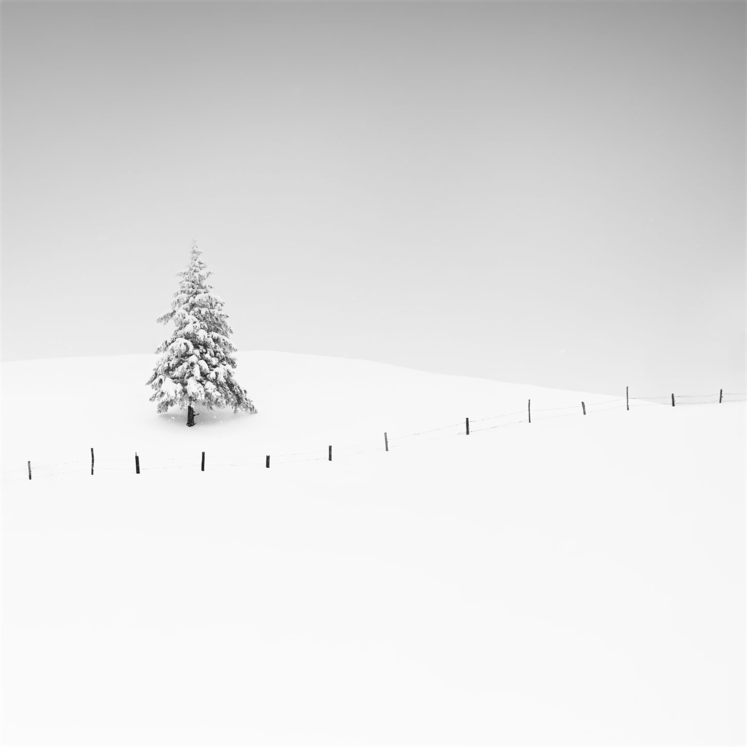 Photograph by Alexej Schulz