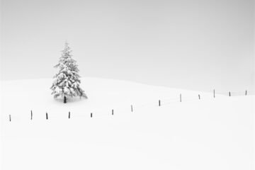 Photograph by Alexej Schulz
