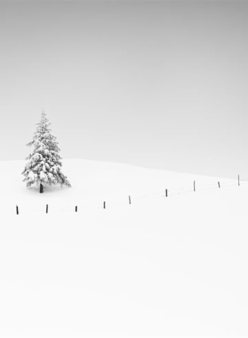 Photograph by Alexej Schulz