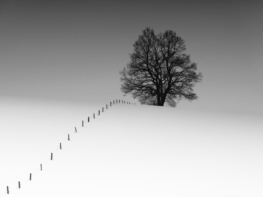 Photograph by Alexej Schulz