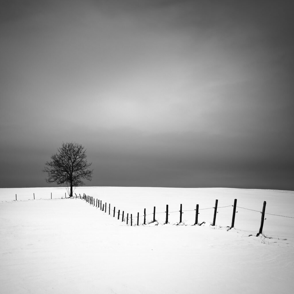 Photograph by Alexej Schulz