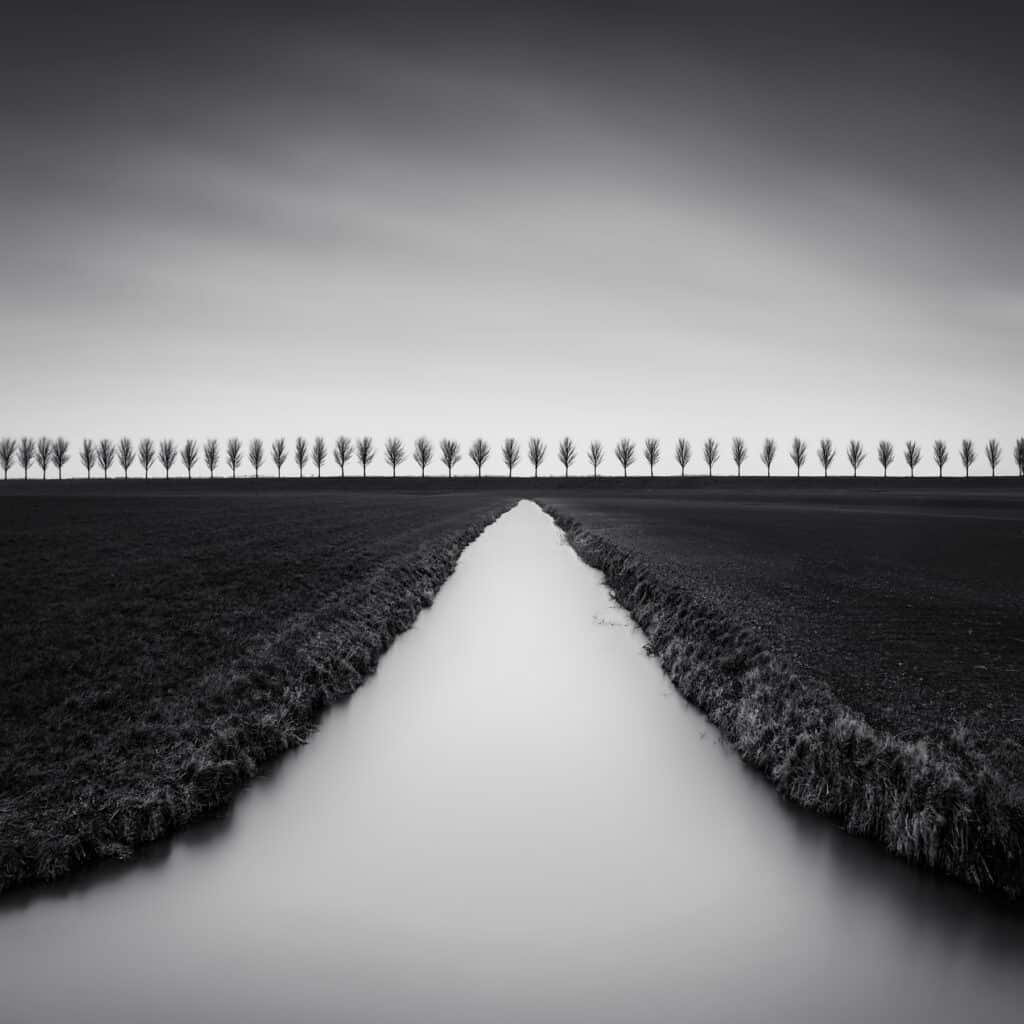 Marco Maljaars -The Beemster