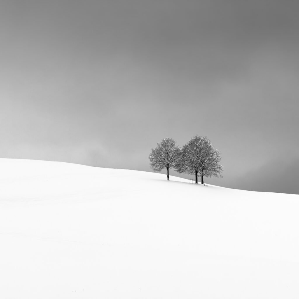 Photograph by Alexej Schulz