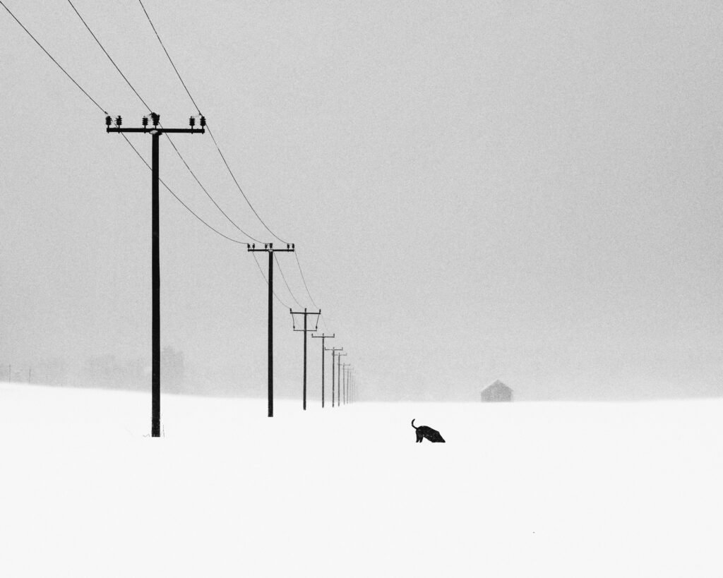 Photograph by Alexej Schulz