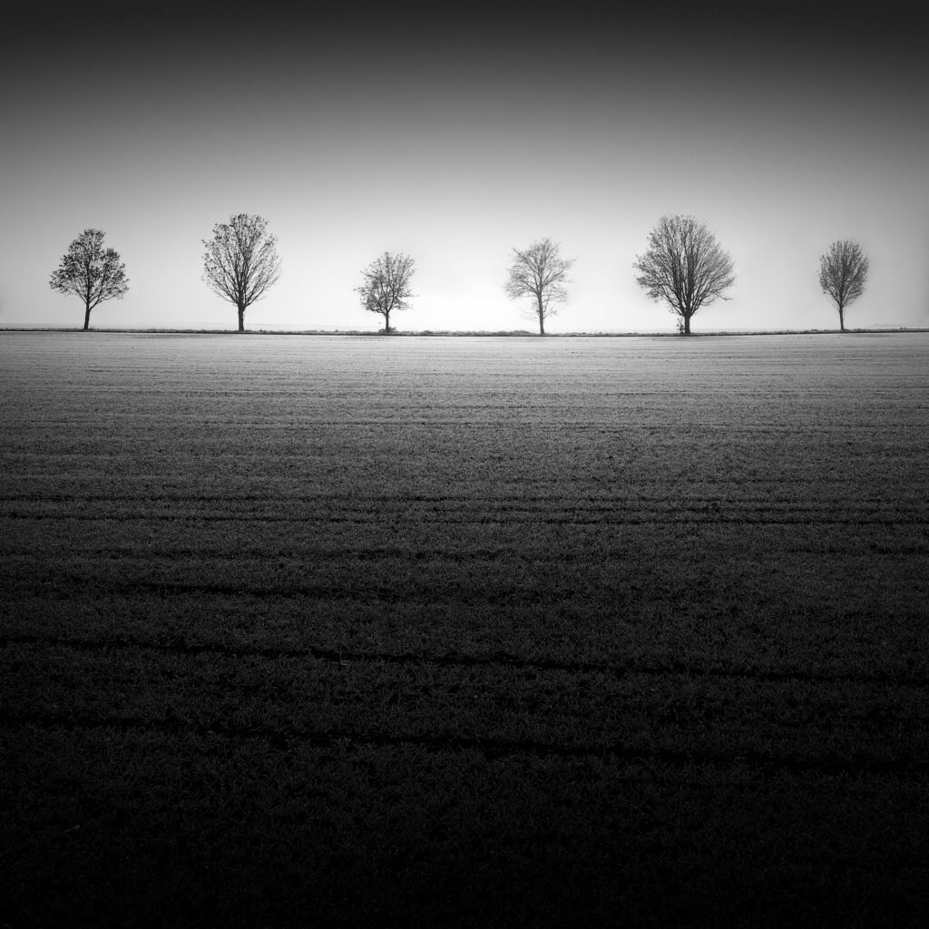 Photograph by Alexej Schulz