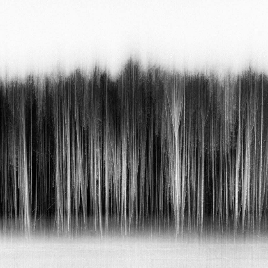 Photograph by Kalle Saarikko