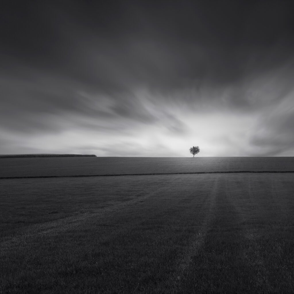 Marco Maljaars - After the Rain