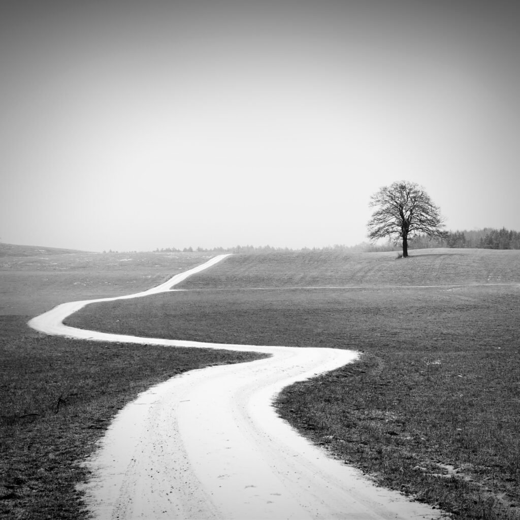 Photograph by Alexej Schulz